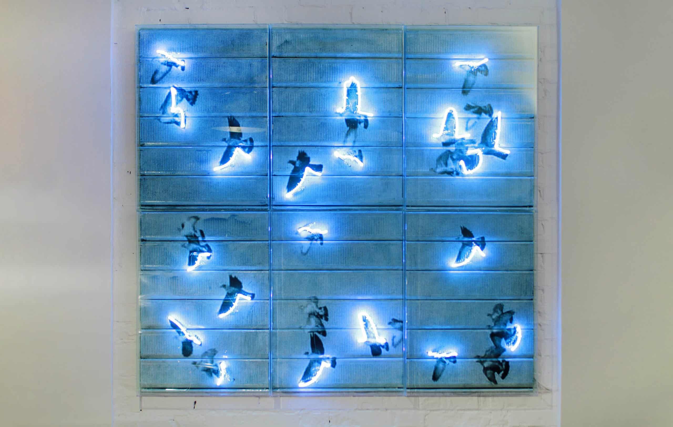 "Lucelli" – Filippo Centenari, immagine 1